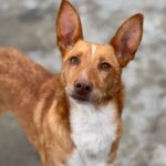 PHOTO-2025-03-21-22-07-46 7