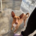 PHOTO-2025-03-21-22-14-05 2