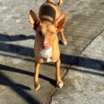 PHOTO-2025-03-21-22-14-05 3