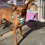 PHOTO-2025-03-21-22-14-05 4