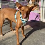 PHOTO-2025-03-21-22-14-05 5