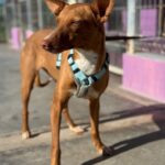 PHOTO-2025-03-21-22-14-05 6