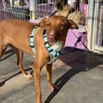 PHOTO-2025-03-21-22-14-05 7