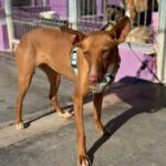 PHOTO-2025-03-21-22-14-05 8