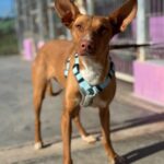 PHOTO-2025-03-21-22-14-06 2