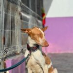 PHOTO-2025-03-23-18-47-23 3