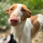 PHOTO-2025-04-06-20-51-34