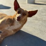 PHOTO-2025-04-02-15-05-13