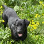 PHOTO-2025-04-06-20-44-02(1)