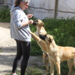 Atūn, Tomillo und Silvia(2)