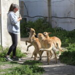 Kopie von _Atūn, Africa, Tomillo und Silvia_