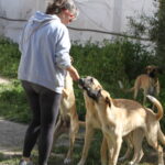 Kopie von _Atūn, Africa, Tomillo und Silvia_