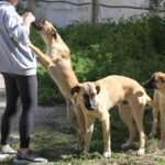 Kopie von _Atūn, Tomillo und Silvia_