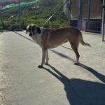 PHOTO-2025-04-02-15-34-40