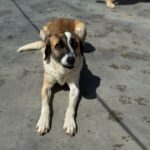 PHOTO-2025-04-06-19-58-49(2)