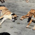 PHOTO-2025-04-06-20-05-42(1)