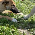 PHOTO-2025-04-13-11-34-21(1)