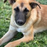 PHOTO-2025-04-13-11-34-21(2)