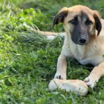 PHOTO-2025-04-13-11-36-57