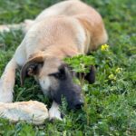 PHOTO-2025-04-13-11-36-58