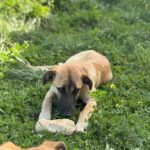 PHOTO-2025-04-13-11-36-58(1)