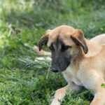 PHOTO-2025-04-13-11-36-58(2)