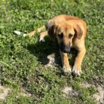 PHOTO-2025-04-13-11-37-19