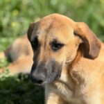 PHOTO-2025-04-13-11-37-19(1)