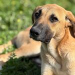 PHOTO-2025-04-13-11-37-20(2)