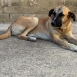 PHOTO-2025-10-19-23-36-05(1)