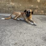 PHOTO-2025-10-19-23-36-05(2)