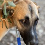 PHOTO-2025-10-19-23-39-28