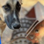 PHOTO-2025-10-19-23-39-28(2)