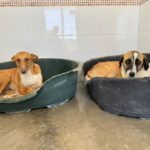 PHOTO-2025-10-24-22-39-32