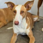 PHOTO-2025-10-24-22-41-12(1)