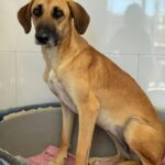 PHOTO-2025-10-24-23-09-04