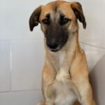 PHOTO-2025-10-24-23-09-30