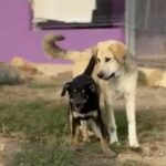 K640_Bildschirmfoto 2025-11-25 um 19.14.31.jpeg