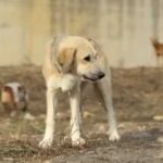 K640_Bildschirmfoto 2025-11-25 um 19.16.20.jpeg