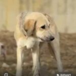 K640_Bildschirmfoto 2025-11-25 um 19.18.11.jpeg