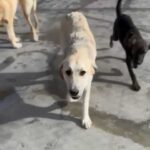 K640_Bildschirmfoto 2025-11-25 um 20.06.41.jpeg