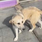 K640_Bildschirmfoto 2025-11-25 um 20.06.46.jpeg