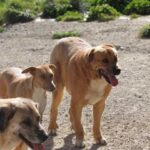 K640_Fernandez und Mila