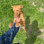 K640_PHOTO-2025-04-06-20-39-28