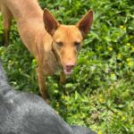 K640_PHOTO-2025-04-06-20-39-28(2)