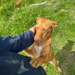 K640_PHOTO-2025-04-06-20-39-28(3)