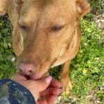 K640_PHOTO-2025-04-06-20-39-28(4)