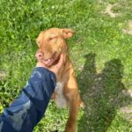 K640_PHOTO-2025-04-06-20-39-28(5)