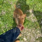 K640_PHOTO-2025-04-06-20-39-28(6)