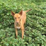 K640_PHOTO-2025-04-06-20-56-57